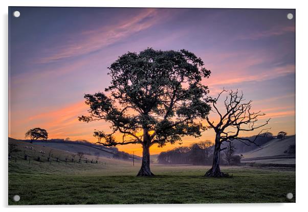 North Devon Sunrise Acrylic by Dave Wilkinson North Devon Ph