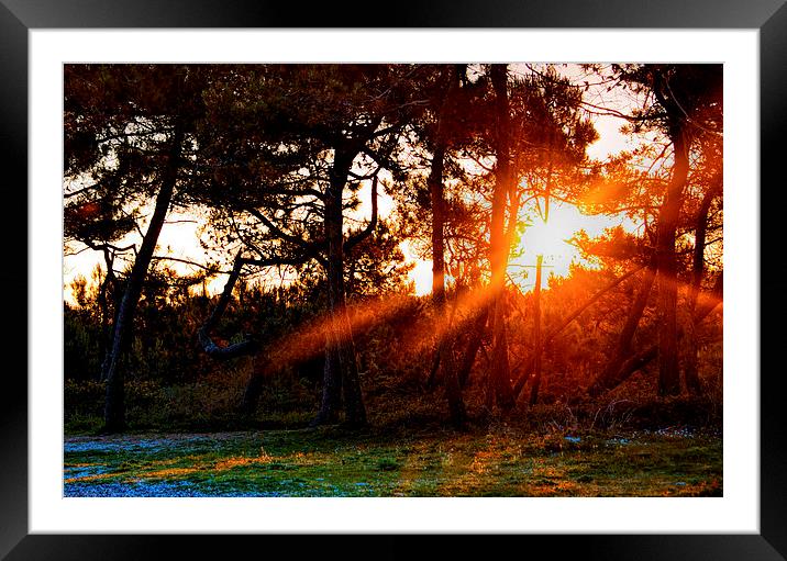 Sunset in French Nature Reserve Framed Mounted Print by Susan Sanger