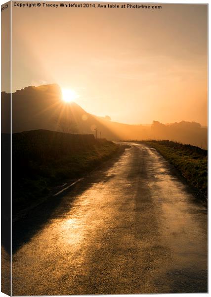 The Road to Sunrise Canvas Print by Tracey Whitefoot