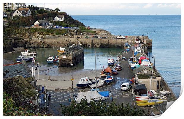 Newqay Harbour Print by Peter Farrington