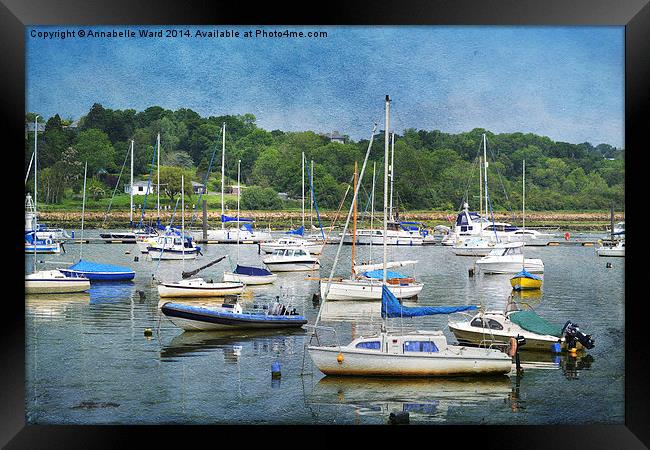 Bembridge Harbour. Framed Print by Annabelle Ward