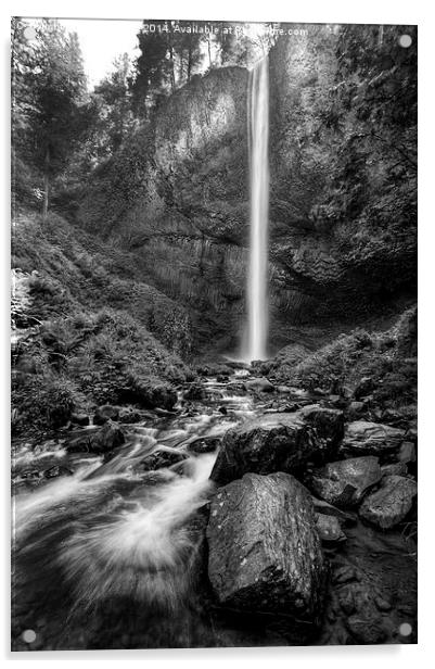 Latourell Falls Acrylic by Robert Pettitt