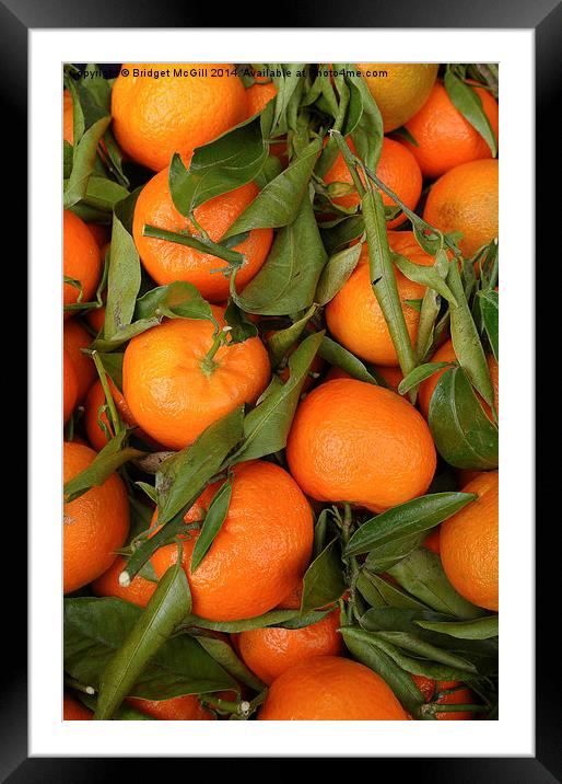 Clementines Framed Mounted Print by Bridget McGill