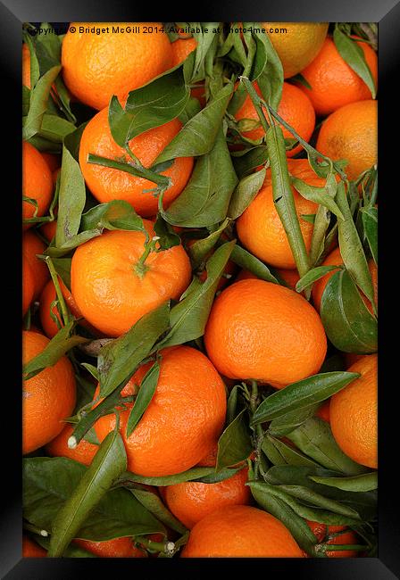 Clementines Framed Print by Bridget McGill