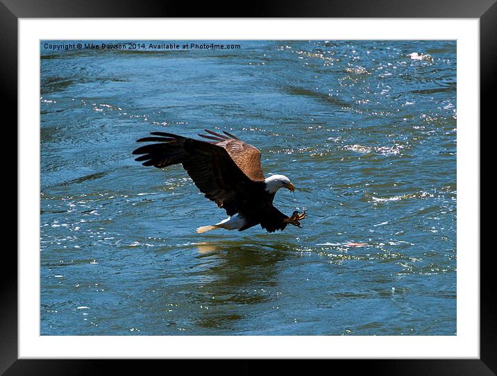 Poised to Catch Framed Mounted Print by Mike Dawson