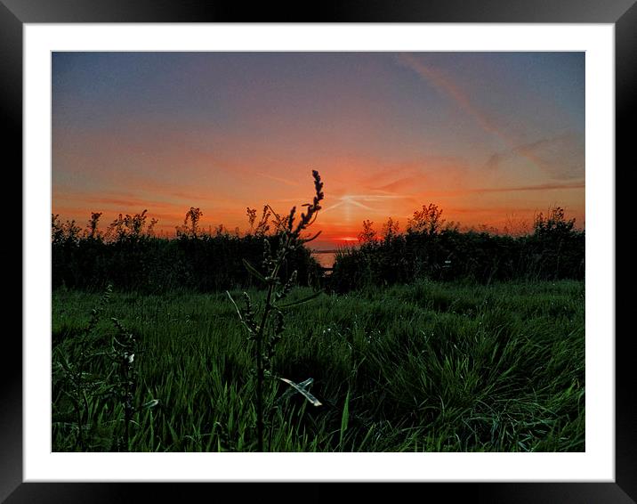 Sunset over the Meadow Framed Mounted Print by Pete Moyes