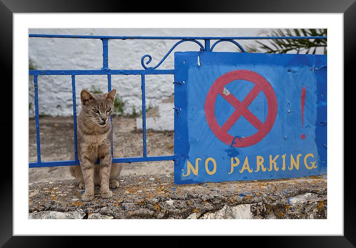 Guard cat Framed Mounted Print by Rory Trappe
