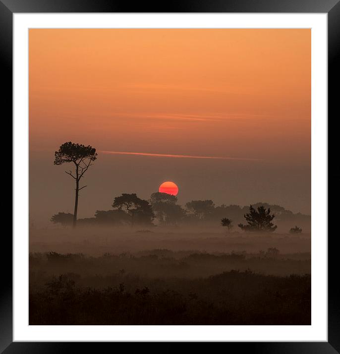 Mystical Sunrise in Dorset Framed Mounted Print by Daniel Rose