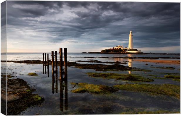St Marys lighthouse in evening light Canvas Print by Richard Armstrong