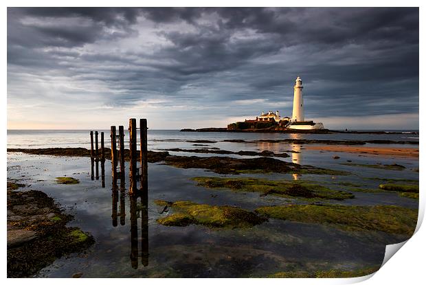 St Marys lighthouse in evening light Print by Richard Armstrong