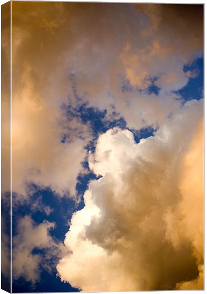 Cloudscape Canvas Print by Alan Pickersgill