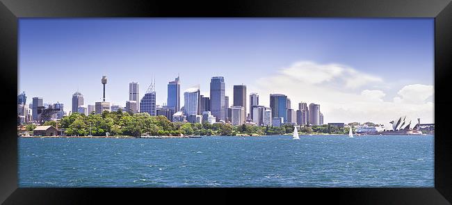 Sydney Skyline Framed Print by David Clark