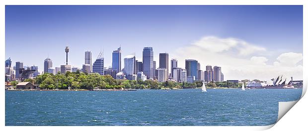 Sydney Skyline Print by David Clark