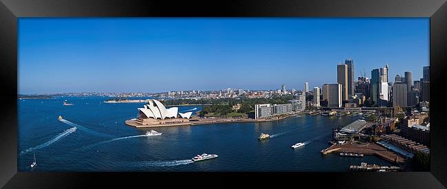 Sydney Harbour in the afternoon sun Framed Print by David Clark