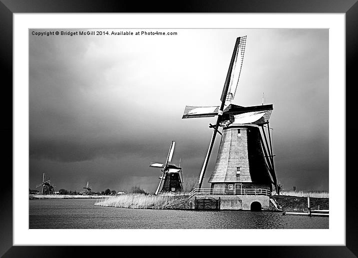 Windmills at Kinderdijk, Holland Framed Mounted Print by Bridget McGill