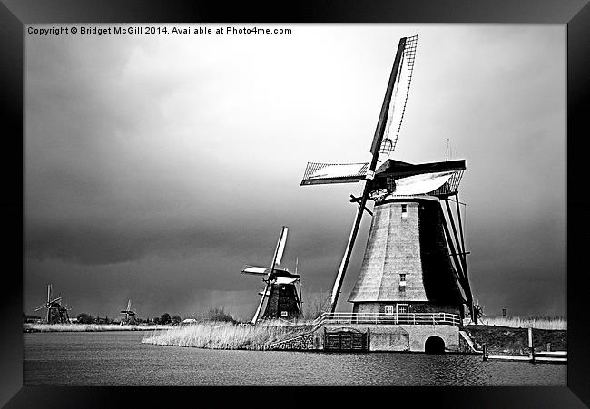Windmills at Kinderdijk, Holland Framed Print by Bridget McGill