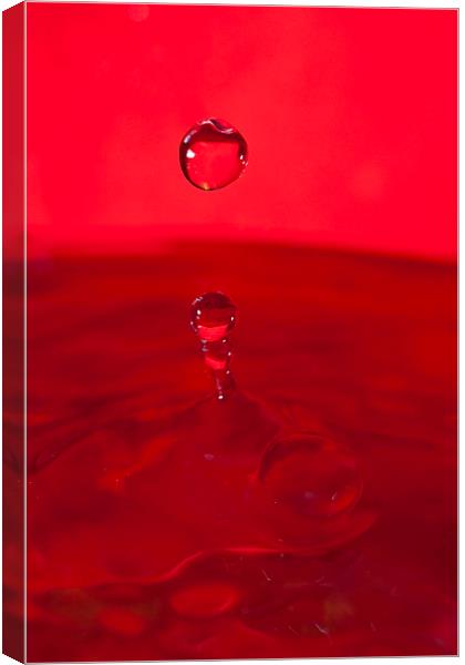 Red Water Splash Canvas Print by andy myatt