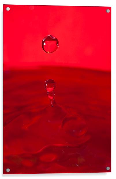 Red Water Splash Acrylic by andy myatt
