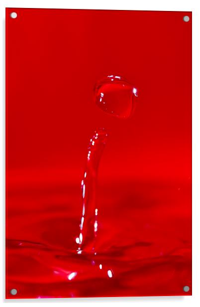 Droplet of Red water Acrylic by andy myatt