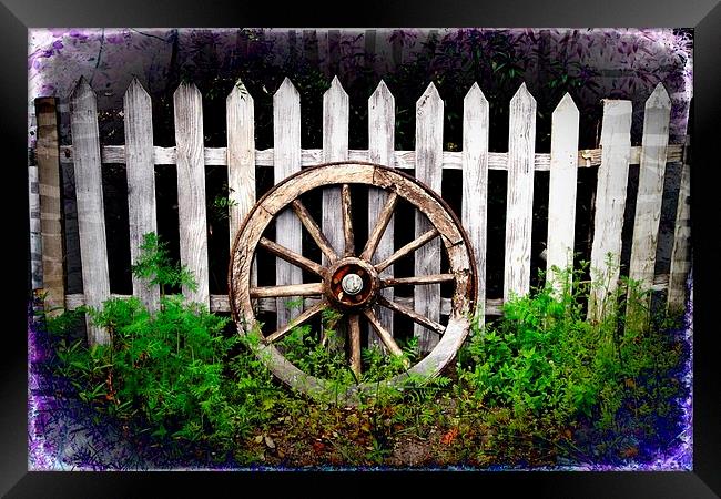 Wagon Wheel Framed Print by Julia Whitnall