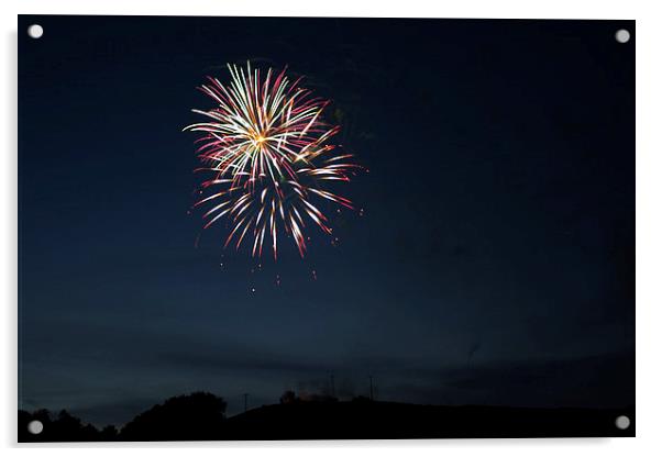 West Virginia Day 2013 Fireworks 1 Acrylic by Howard Tenke