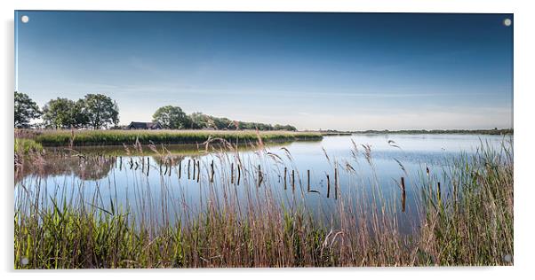 Hickling Broad Acrylic by Stephen Mole