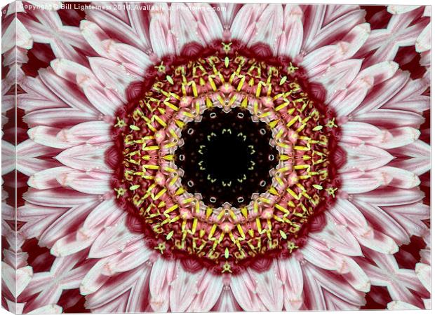 Floral Kaleidoscope Art Canvas Print by Bill Lighterness
