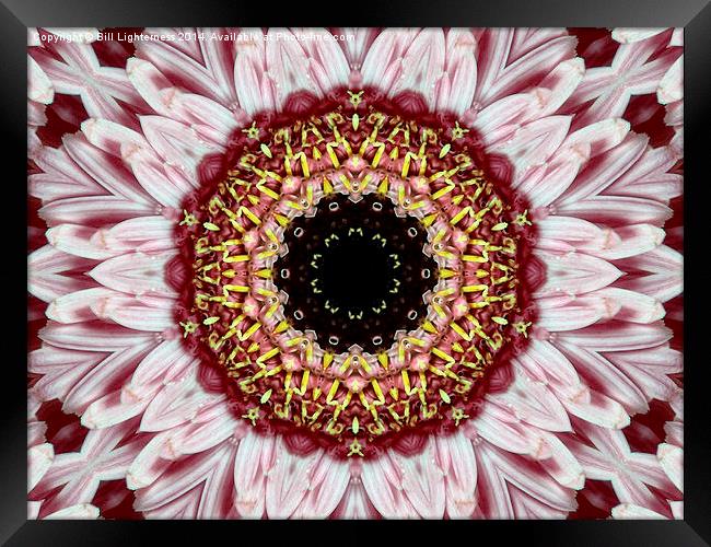 Floral Kaleidoscope Art Framed Print by Bill Lighterness
