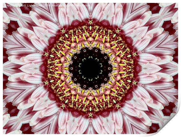 Floral Kaleidoscope Art Print by Bill Lighterness