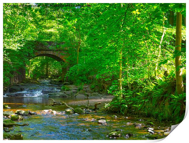 May Beck Seaton Wood Summer Print by Peter Jordan