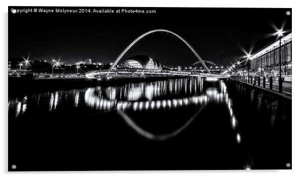 Tyne Bridges & The Sage Acrylic by Wayne Molyneux