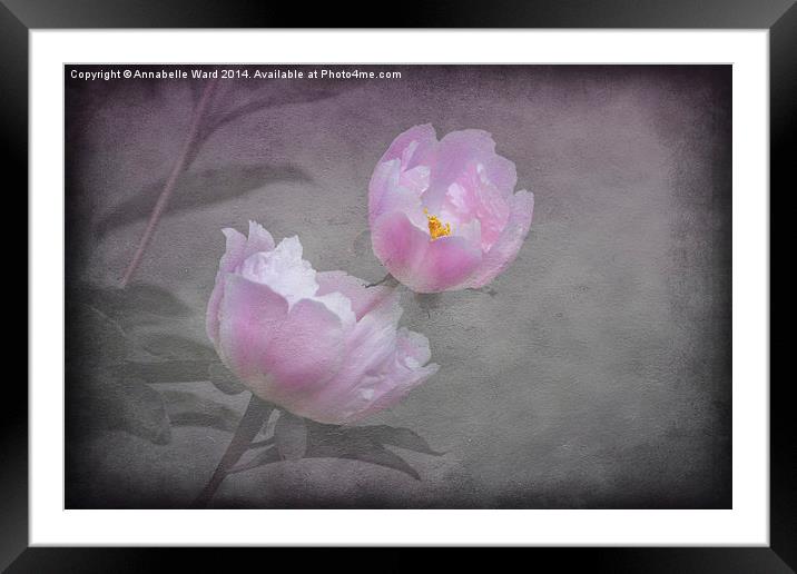 Flowers And Pink. Framed Mounted Print by Annabelle Ward