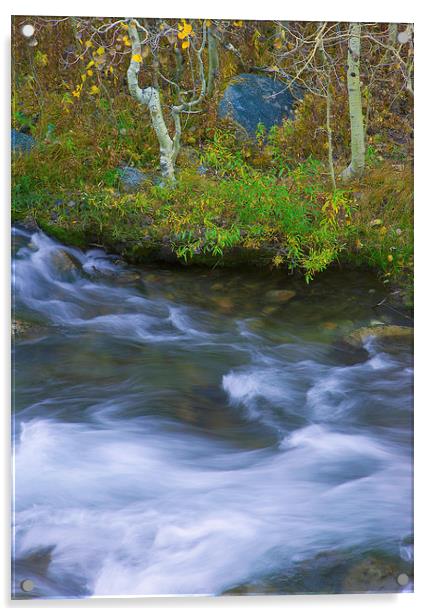 Rushing Stream and Creek Bank Acrylic by Ram Vasudev