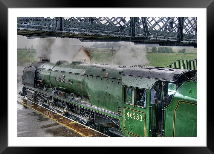 46233 Duchess Of Sutherland Framed Mounted Print by David Birchall