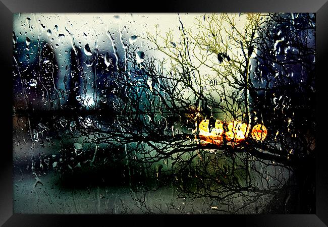 Raindrops Framed Print by Julia Whitnall