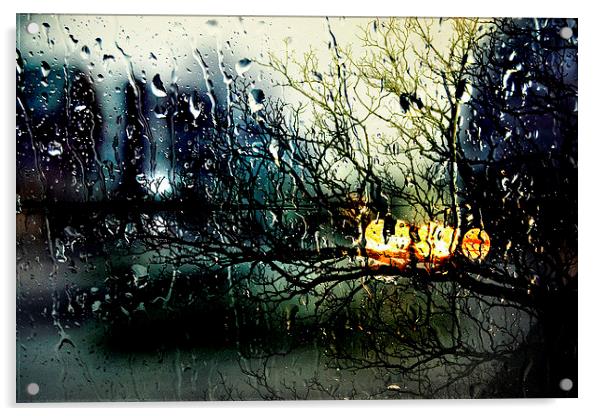 Raindrops Acrylic by Julia Whitnall