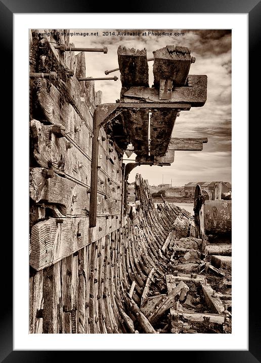 Gone to Wreck & Ruin Framed Mounted Print by Sharpimage NET
