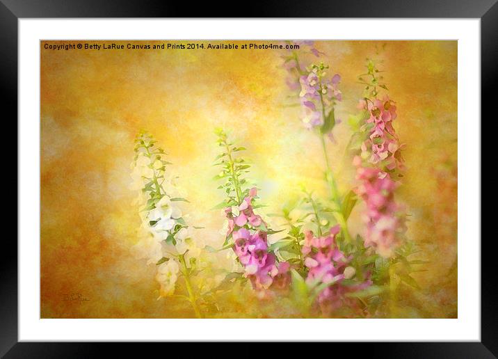 A Day in June Framed Mounted Print by Betty LaRue