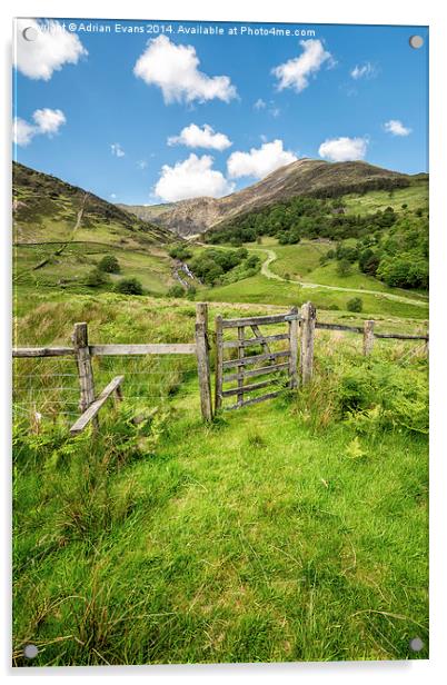 Gateway to Watkin Path Snowdonia  Acrylic by Adrian Evans