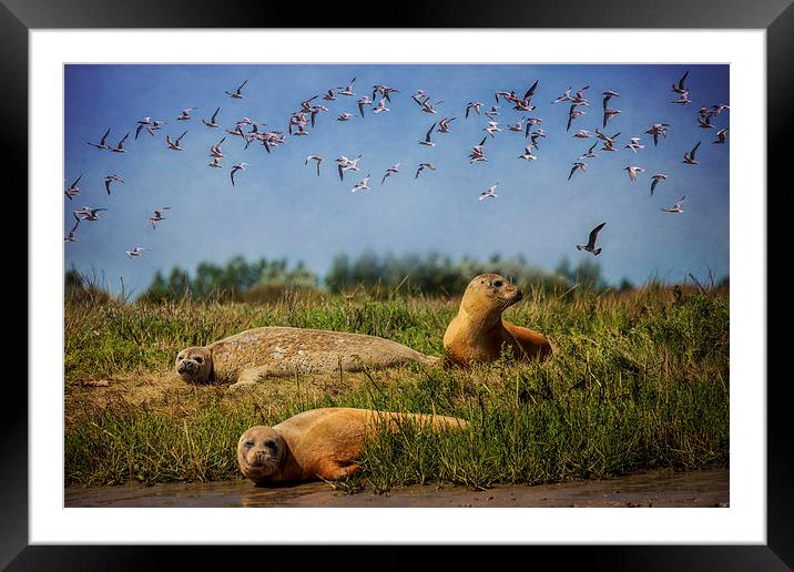 On The Estuary Framed Mounted Print by Chris Lord