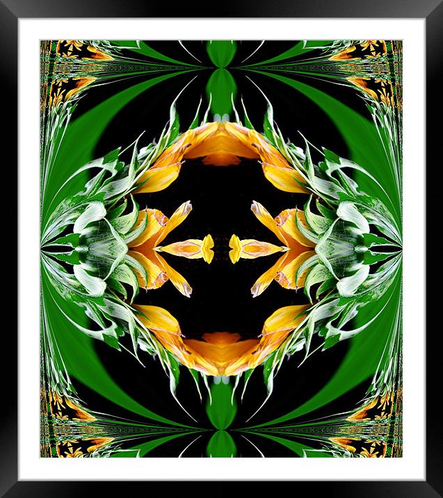 Orange and green abstract 2 Framed Mounted Print by Ruth Hallam