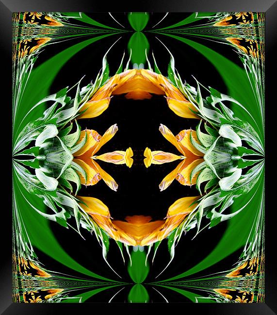 Orange and green abstract 2 Framed Print by Ruth Hallam