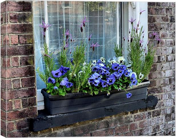 WINDOW BOX Canvas Print by Helen Cullens