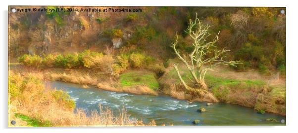 a river runs... Acrylic by dale rys (LP)