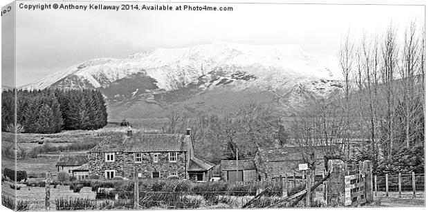SNOW COVERED BLENCATHRA Canvas Print by Anthony Kellaway