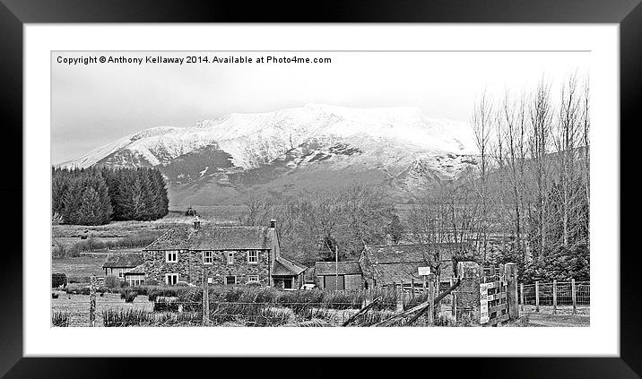 SNOW COVERED BLENCATHRA Framed Mounted Print by Anthony Kellaway