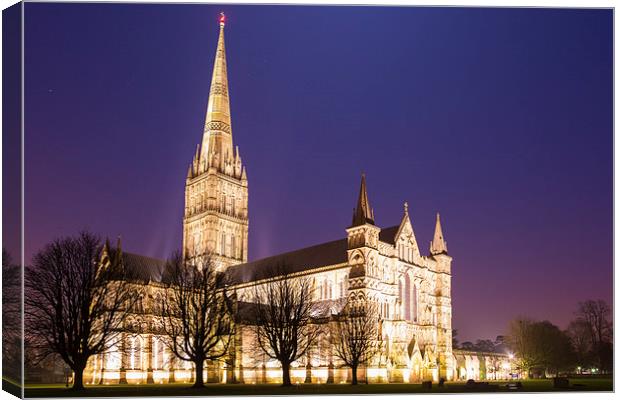 Salisbury Cathedral Canvas Print by Ian Middleton
