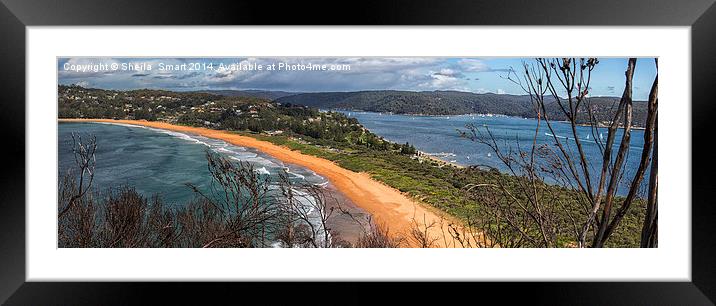 Barrenjoey panorama, Sydney Framed Mounted Print by Sheila Smart