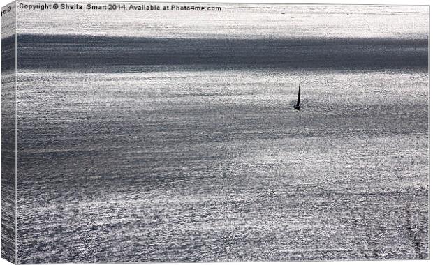 Shimmering sea with yacht Canvas Print by Sheila Smart