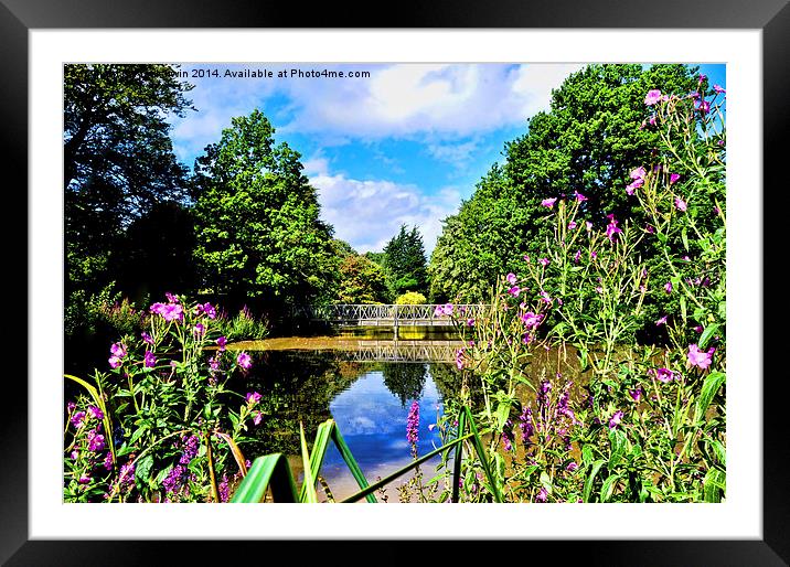 One of the many bridges in Birkenhead Park, Wirral Framed Mounted Print by Frank Irwin
